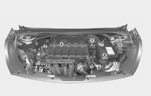 Compartimento del motore