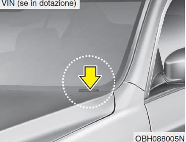 NUMERO DI IDENTIFICAZIONE VEICOLO (VIN)