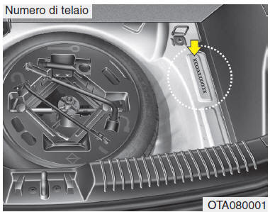 NUMERO DI IDENTIFICAZIONE VEICOLO (VIN)