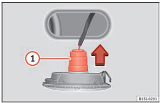  Indicatore di direzione laterale: sostituzione delle lampadine.